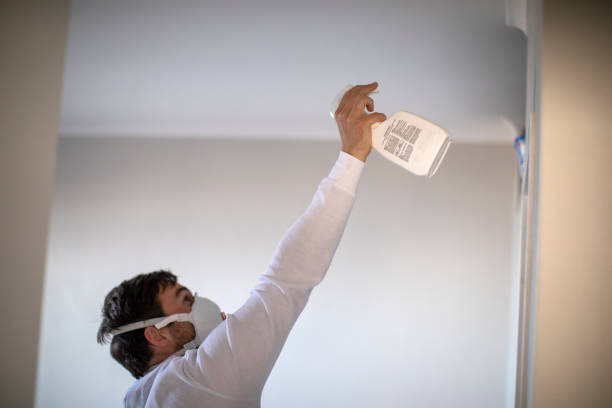 Best Affordable Mold Removal  in Chandler, AZ